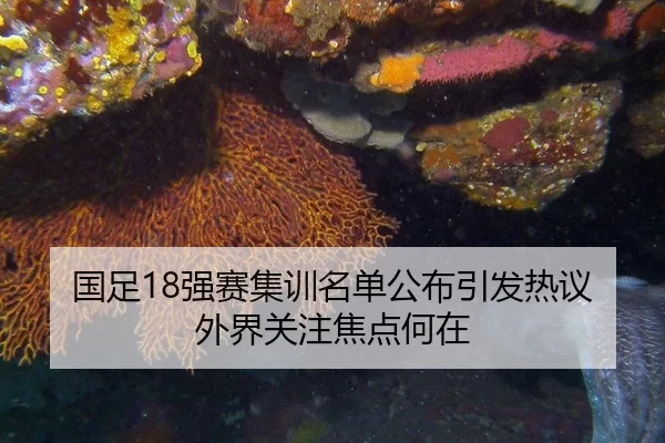 国足18强赛集训名单公布引发热议 外界关注焦点何在 | hth